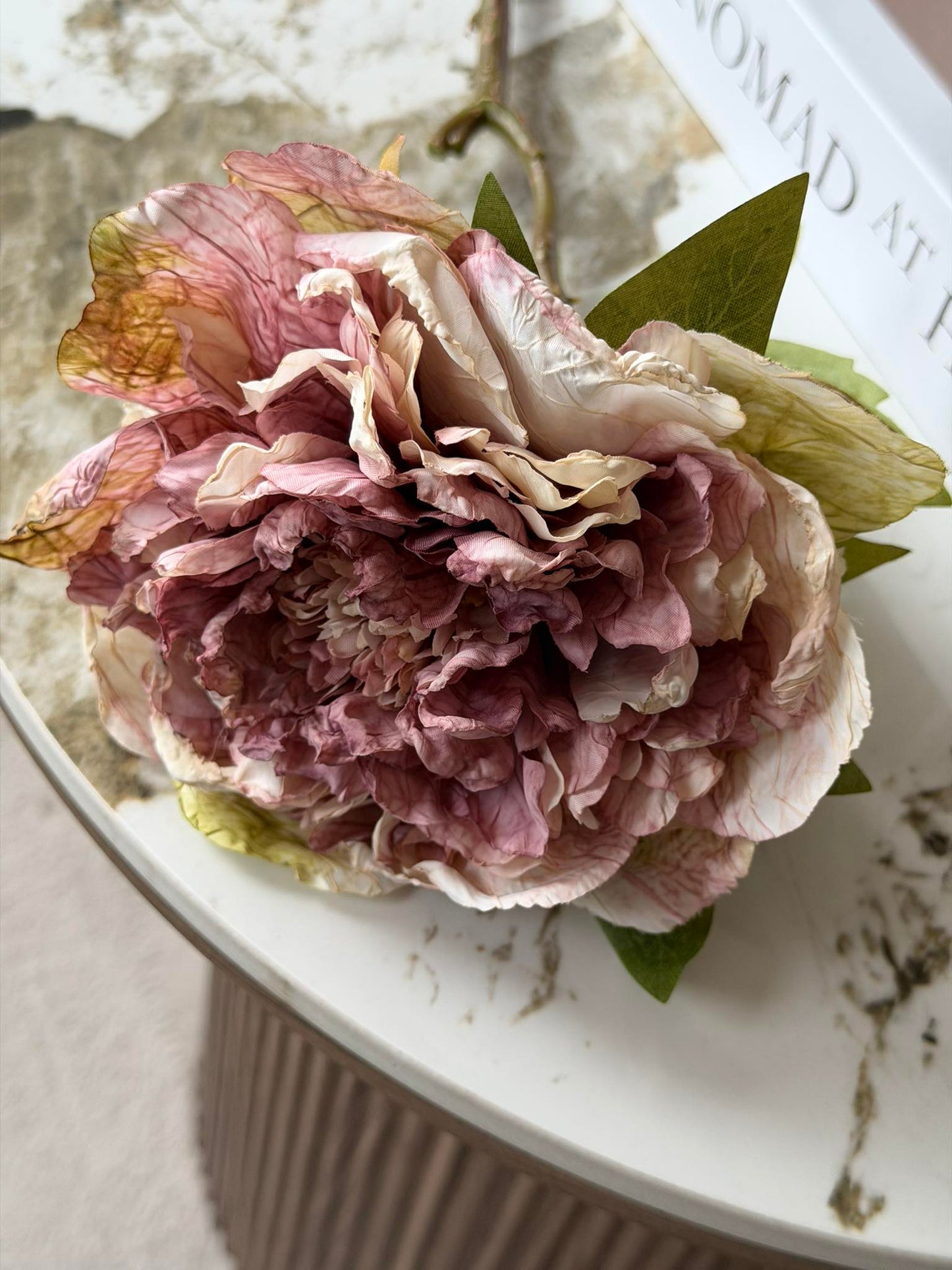 Blomst Pæon -  Antik Cream / rosa