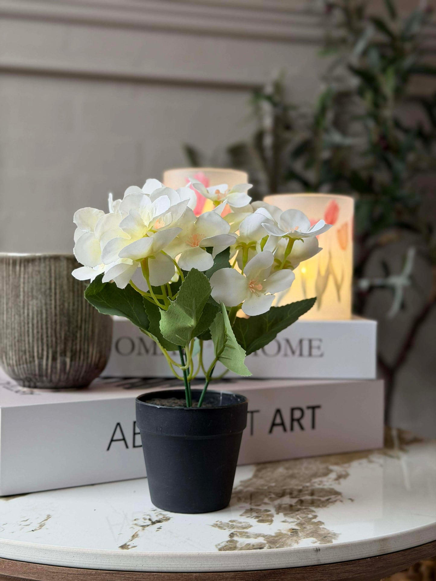 Mini hortensia i potte - flere farver