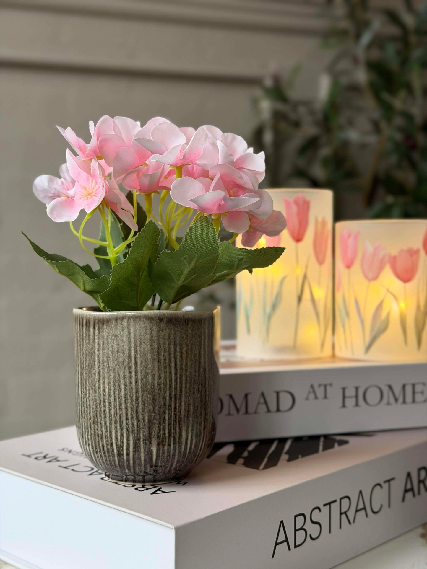 Mini hortensia i potte - flere farver