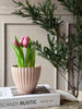 Potte i beton look - Lille Rosa