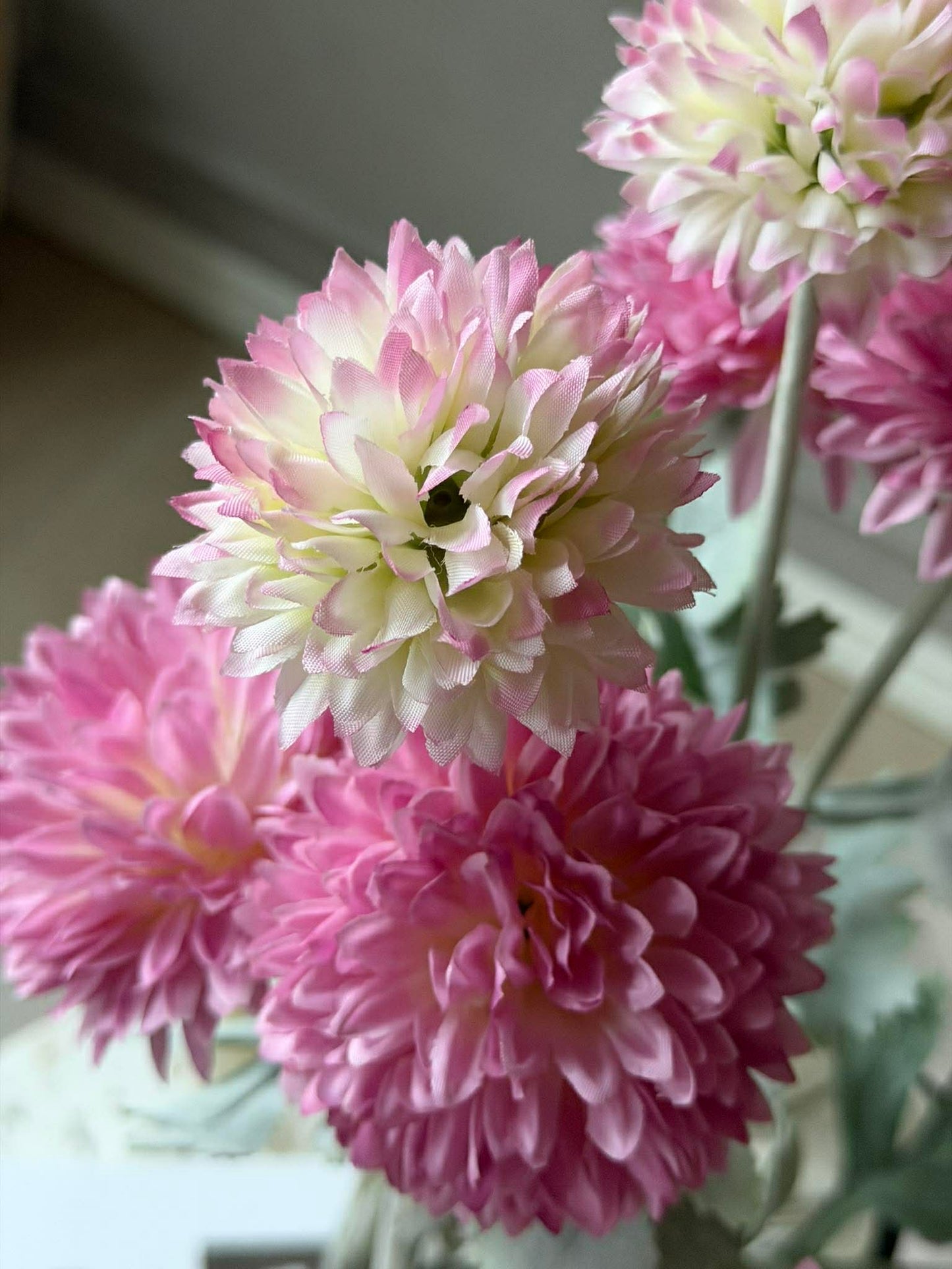 Prydløg stilk 60 cm - Rosa