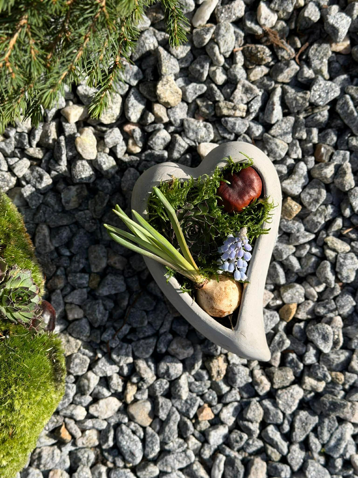 Hjerte  - Flere størrelser