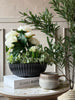 Bowl i beton look - Stone