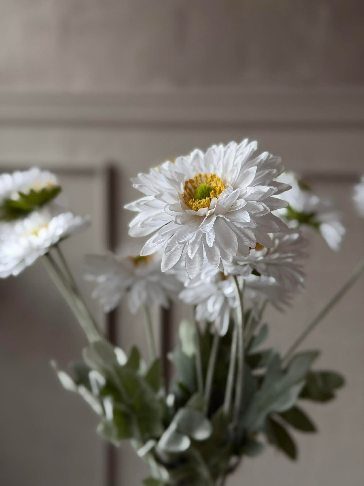Marguerit stilk 60 cm - Hvid