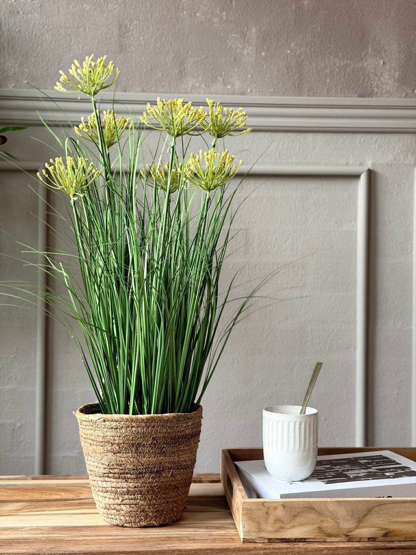Skærmplante i potte til inde og ude - 70 cm