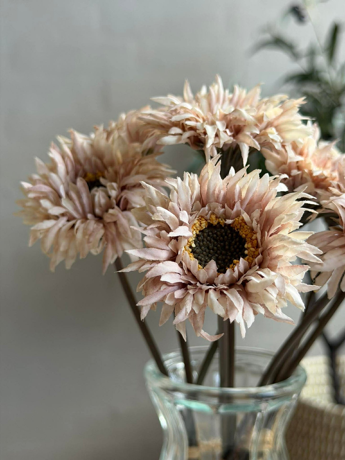 Gerbera 3 stk.