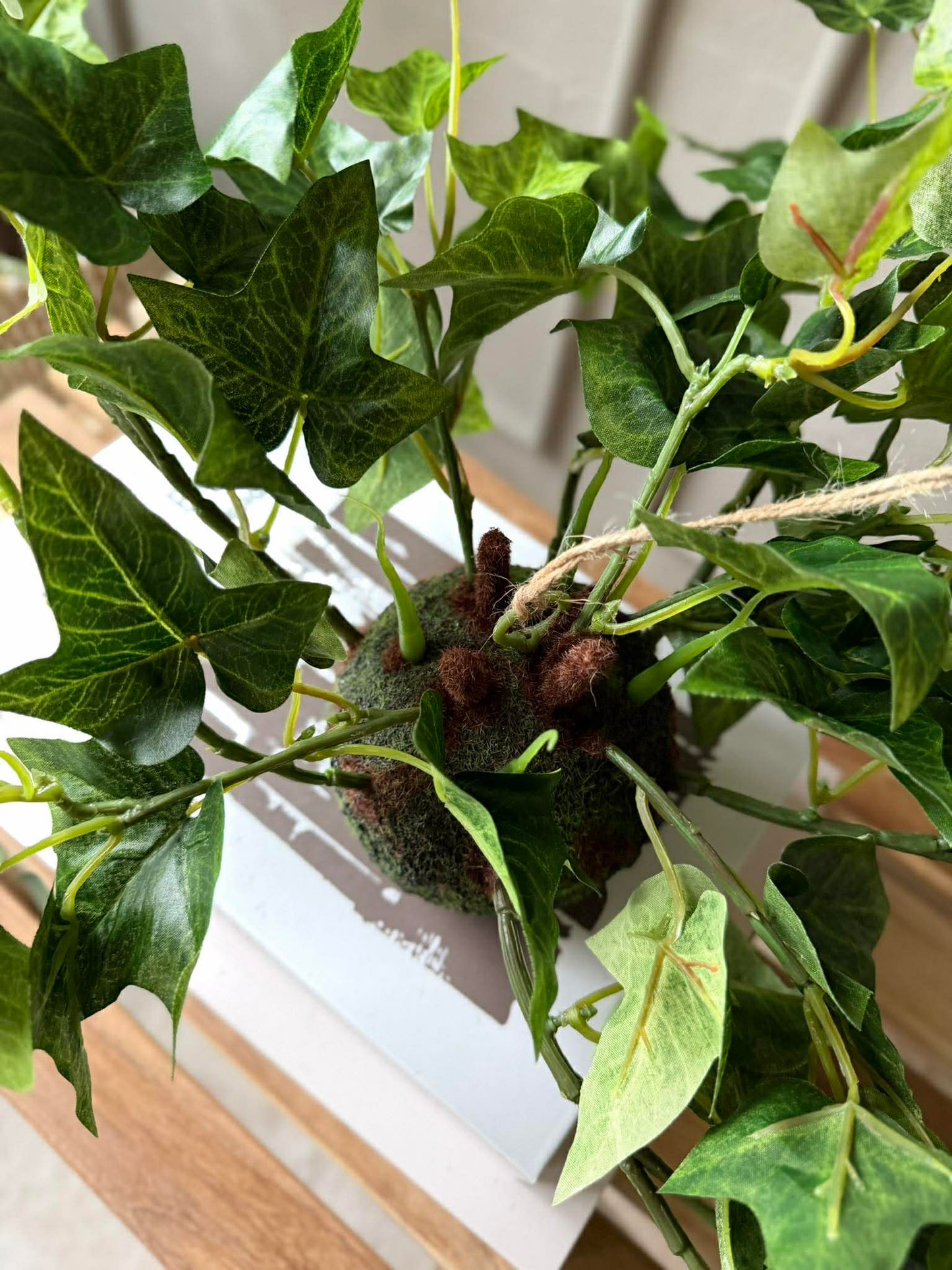 Hængeplante efeu