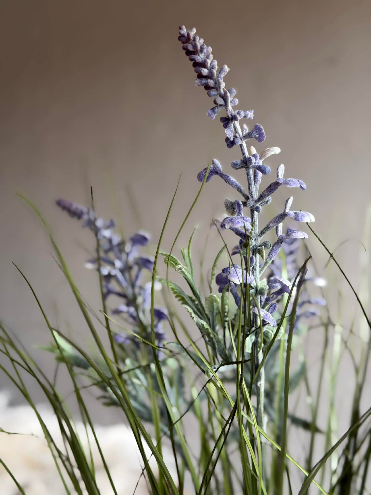 Lavendel i buket til inde og ude - 70 cm