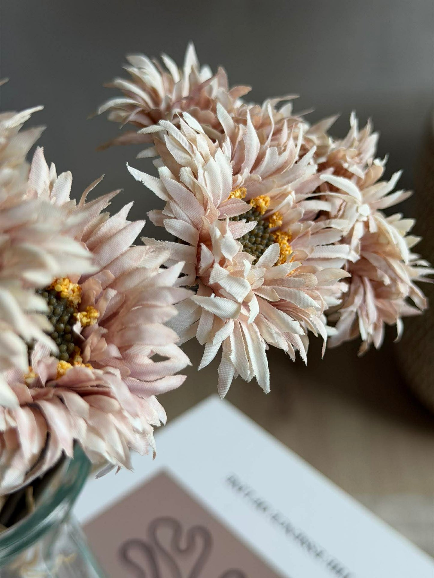 Gerbera 3 stk.