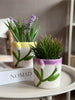 Skjuler med Tulipan - Flere farver