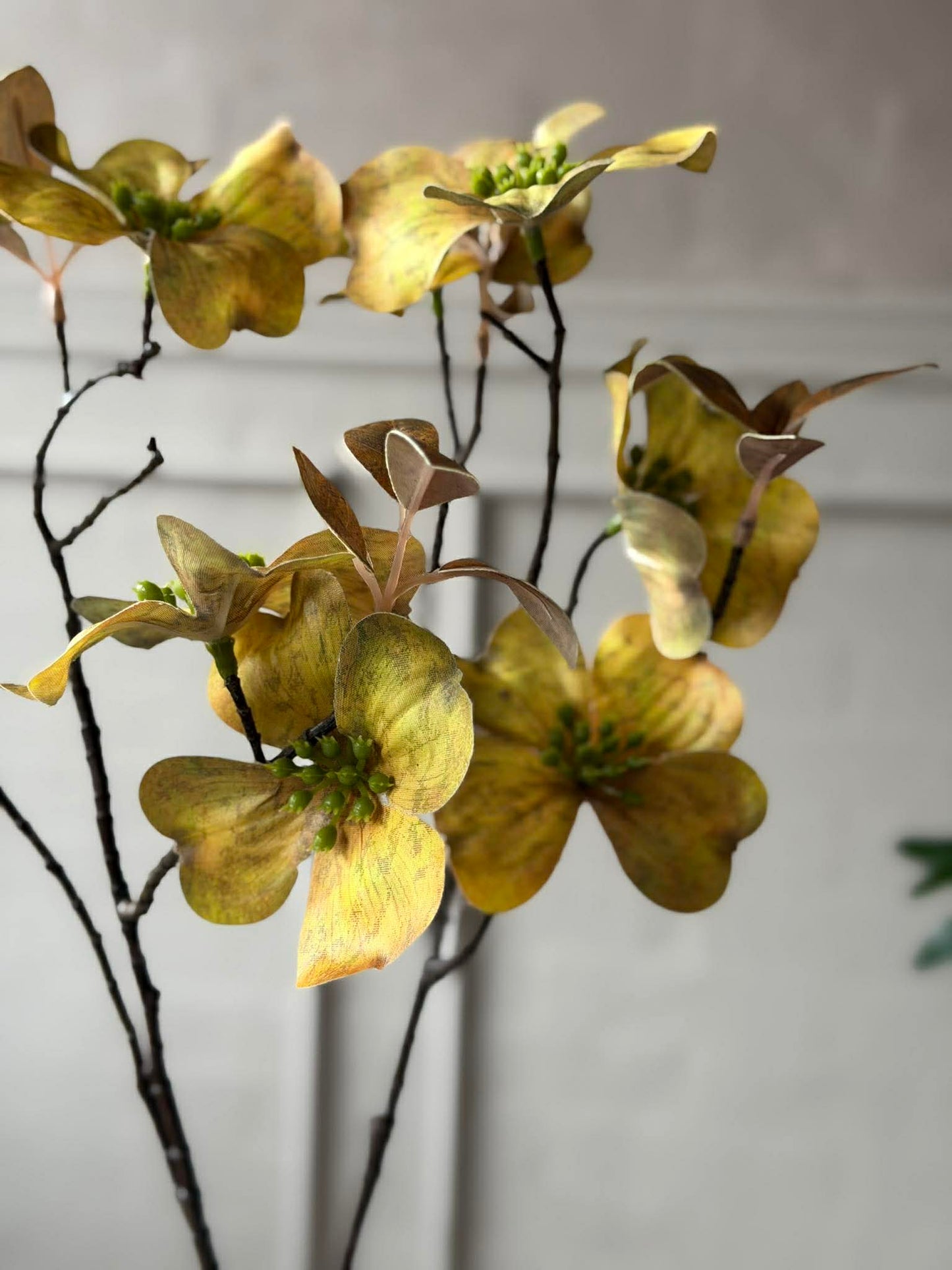 Blomstergren 78 cm - Flere farver
