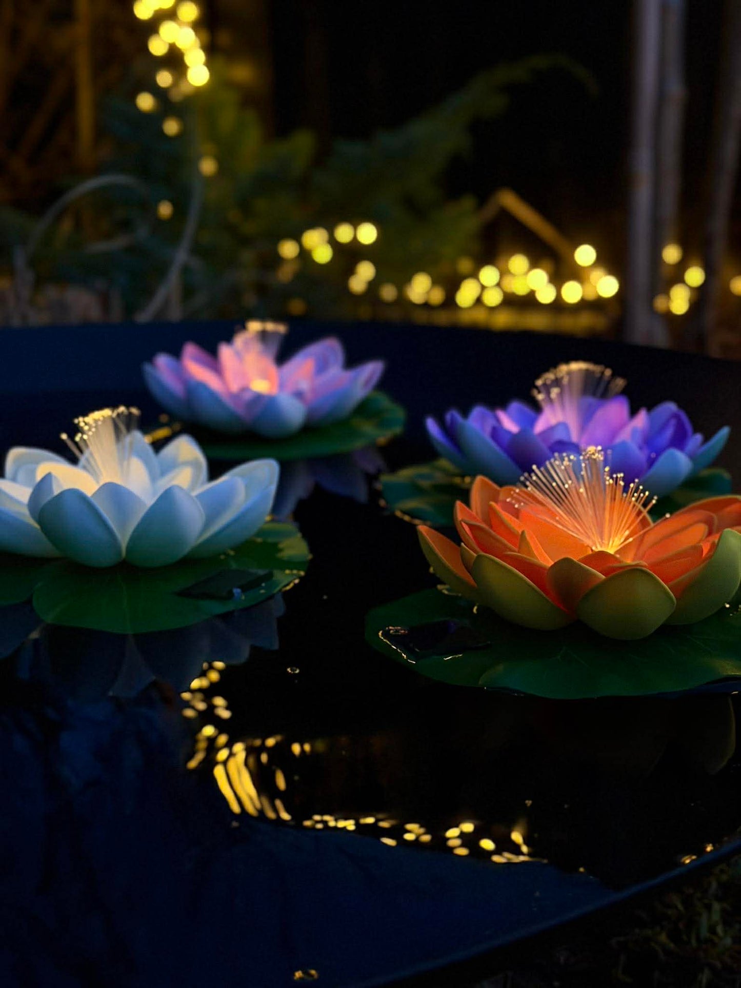 Lotus med solar - Flere farver