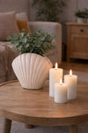 Vase - Sea Shell