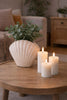 Vase - Sea Shell