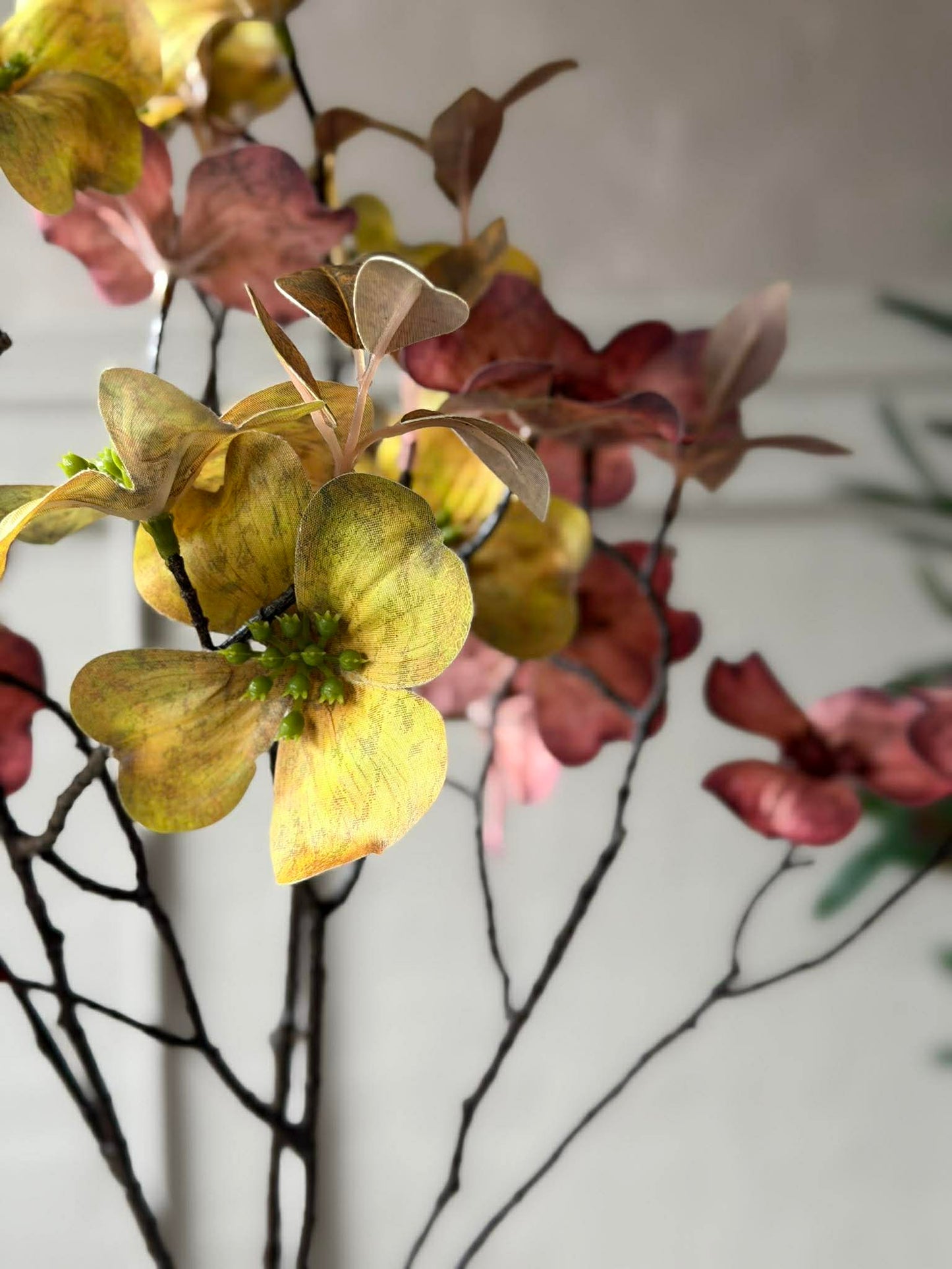 Blomstergren 78 cm - Flere farver