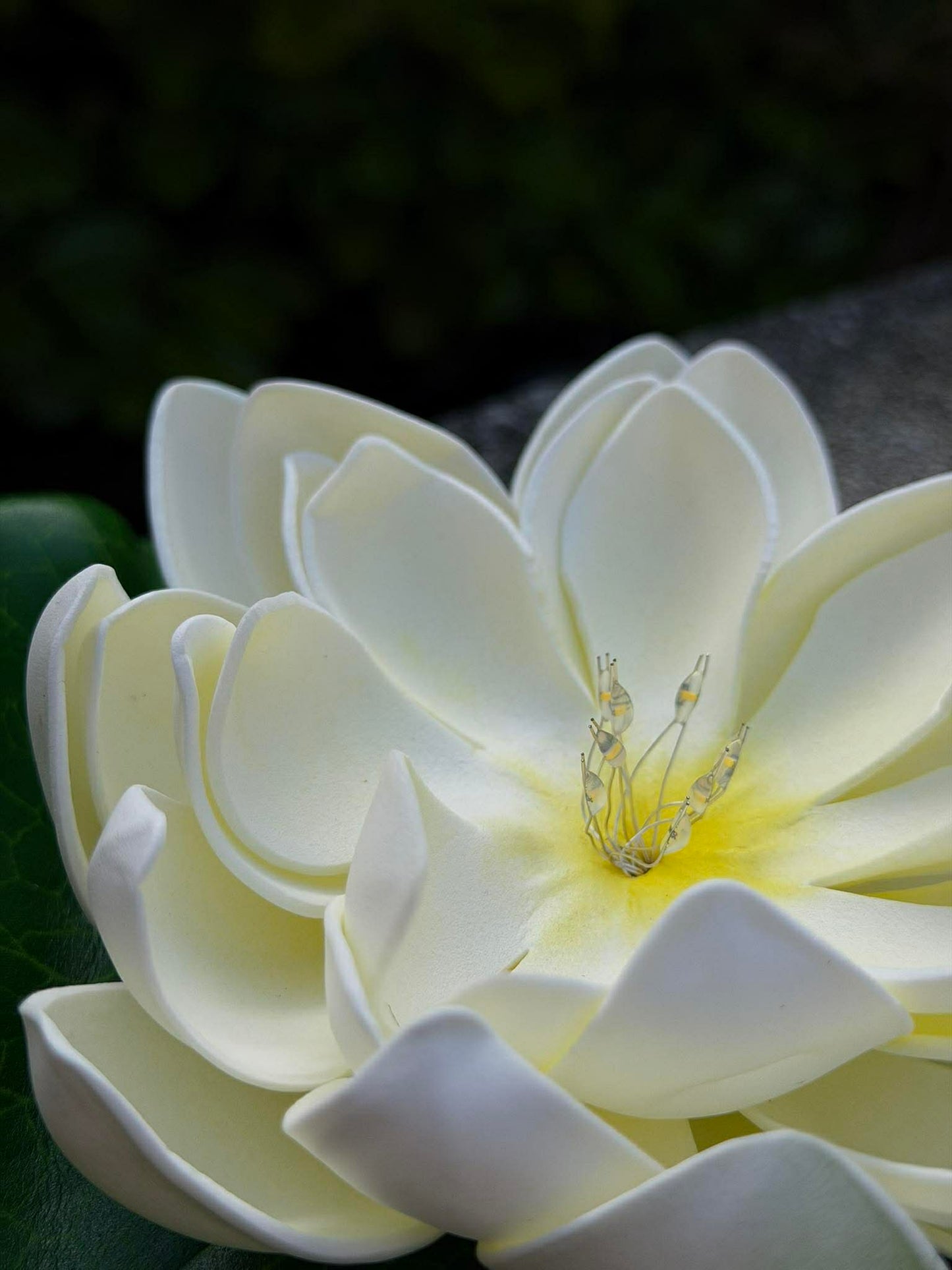 Solcelle LOTUS – Hvid