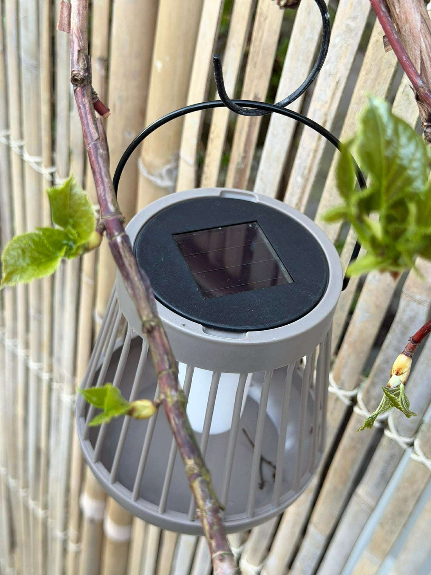 Lanterne Emily med solar - Flere farver