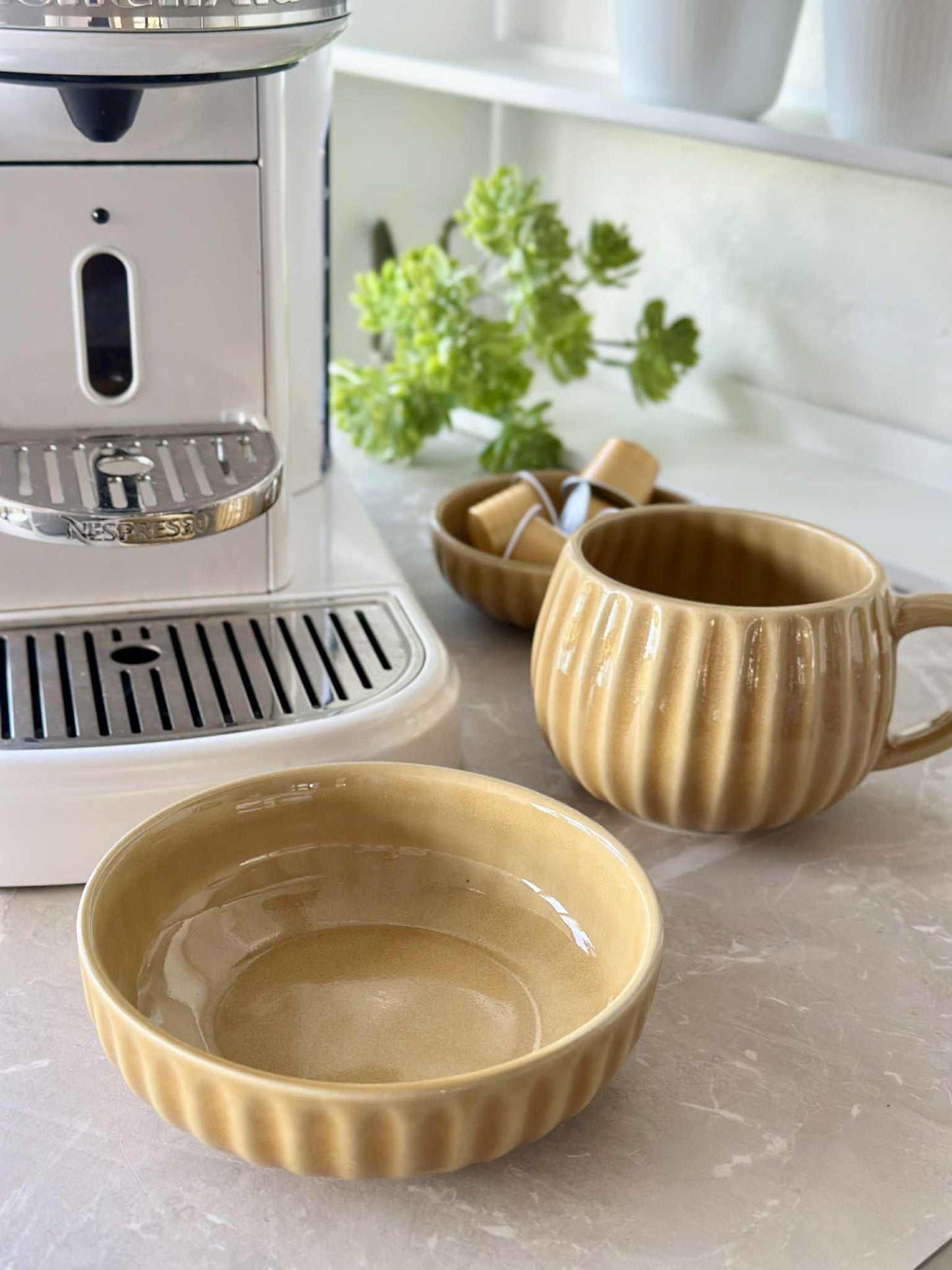 Krus VIGA Strib - Sennep