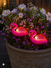 Flamingo på spyd - Solar