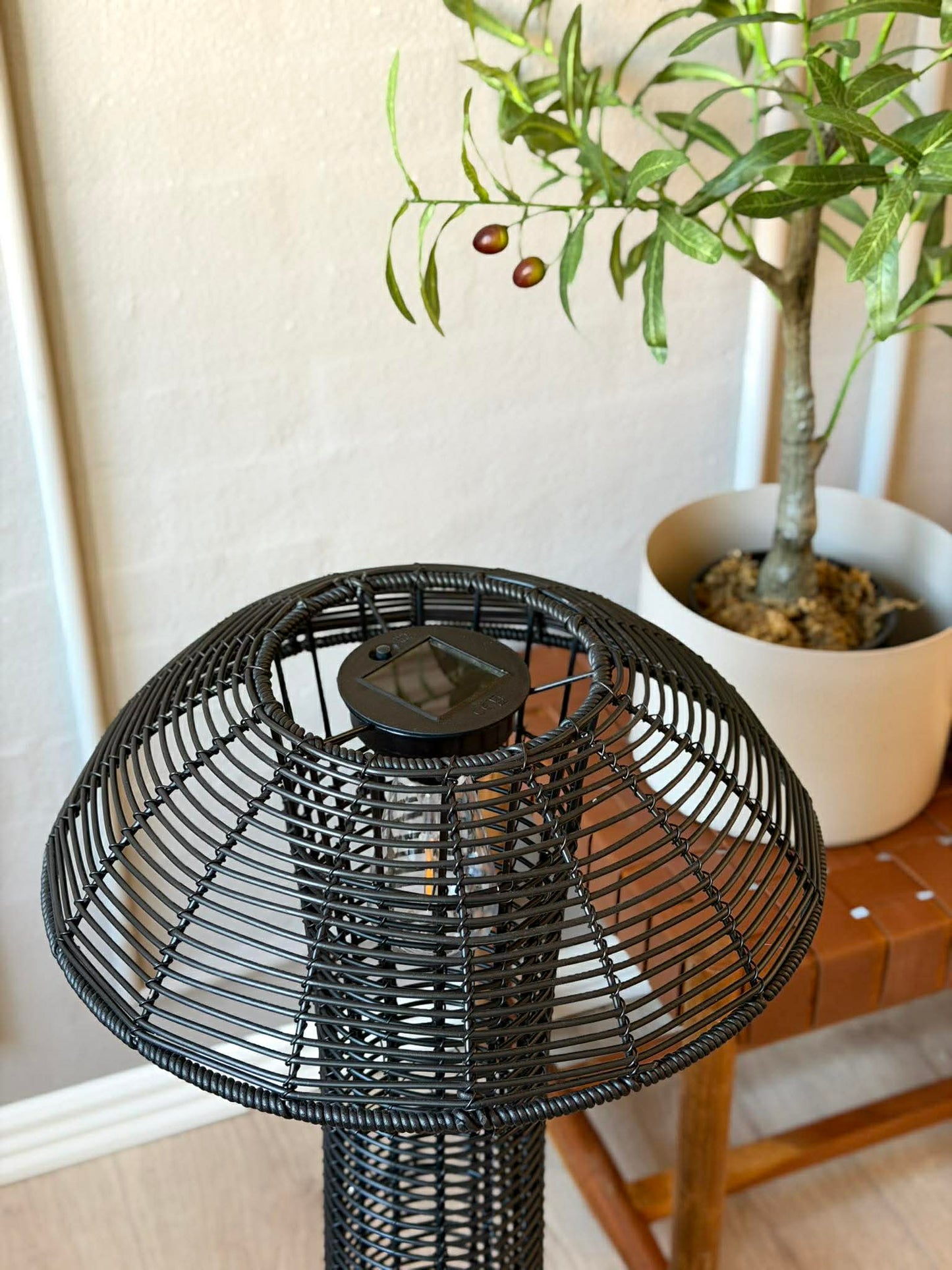 Mushroom Solar - Black XL