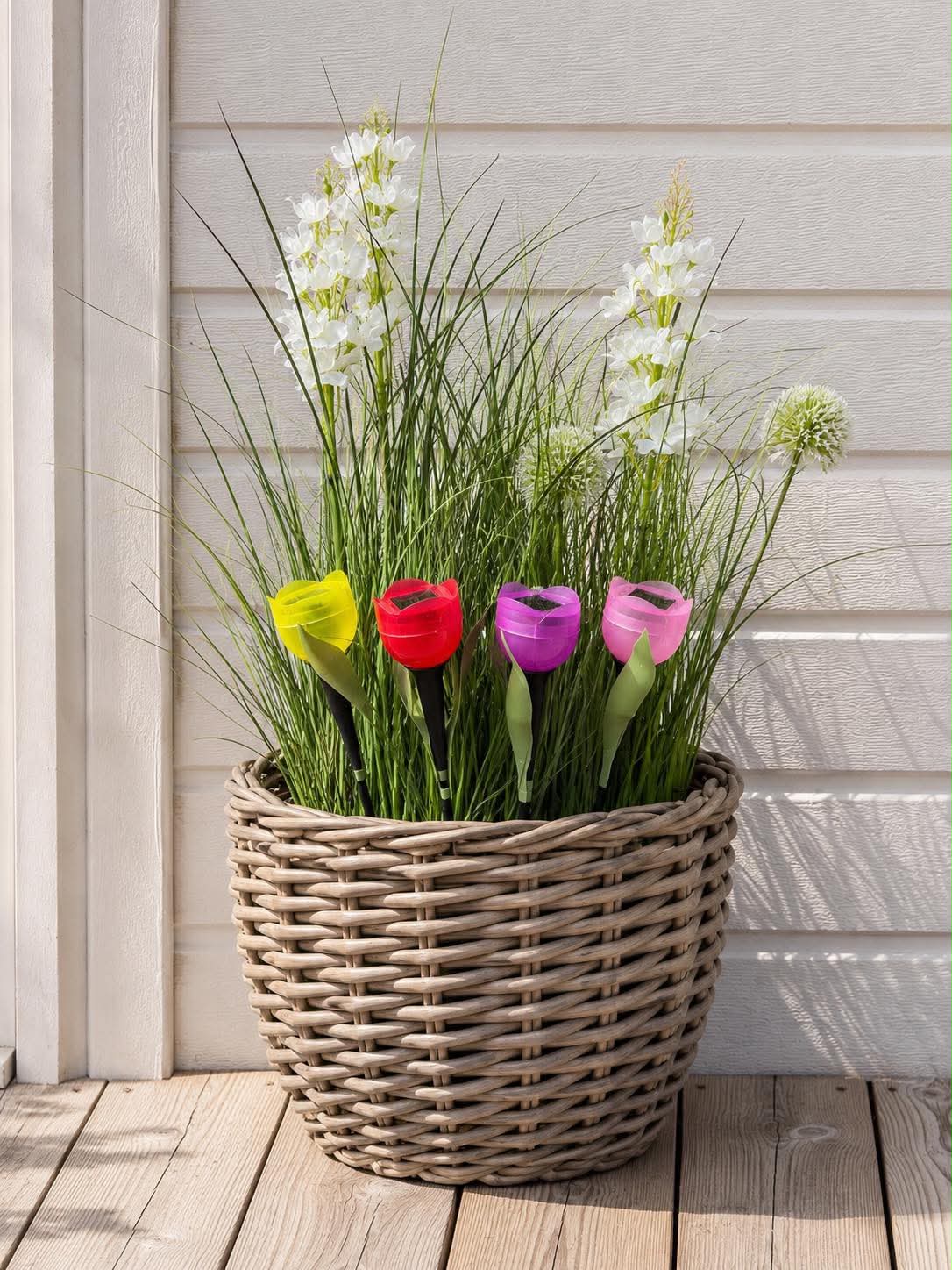 Tulipan Solar - Flere farver
