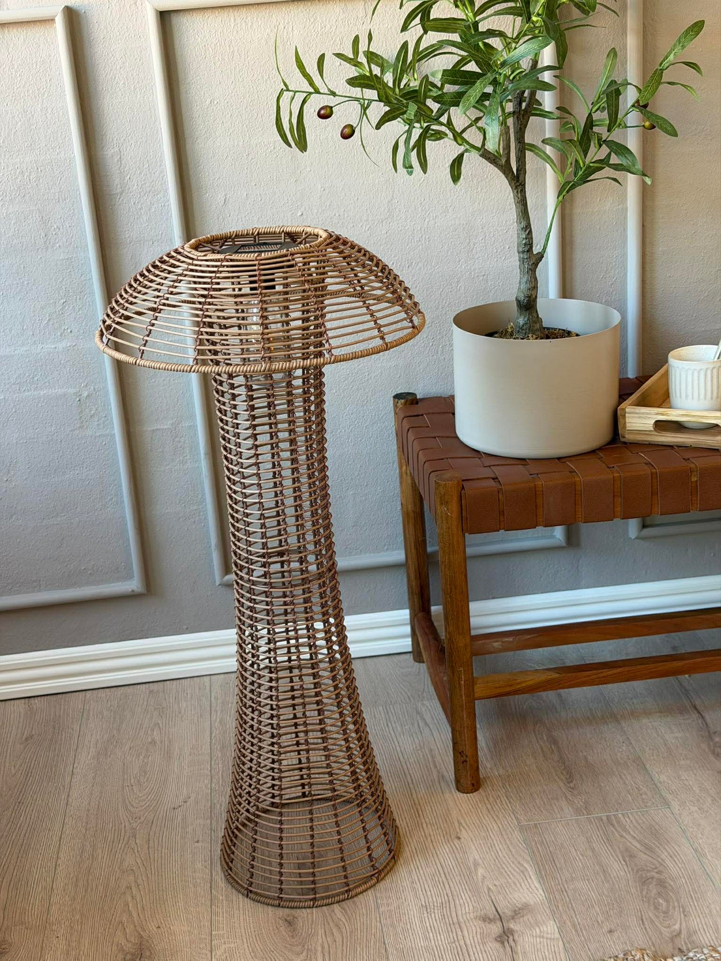 Mushroom Solar - Natur XL