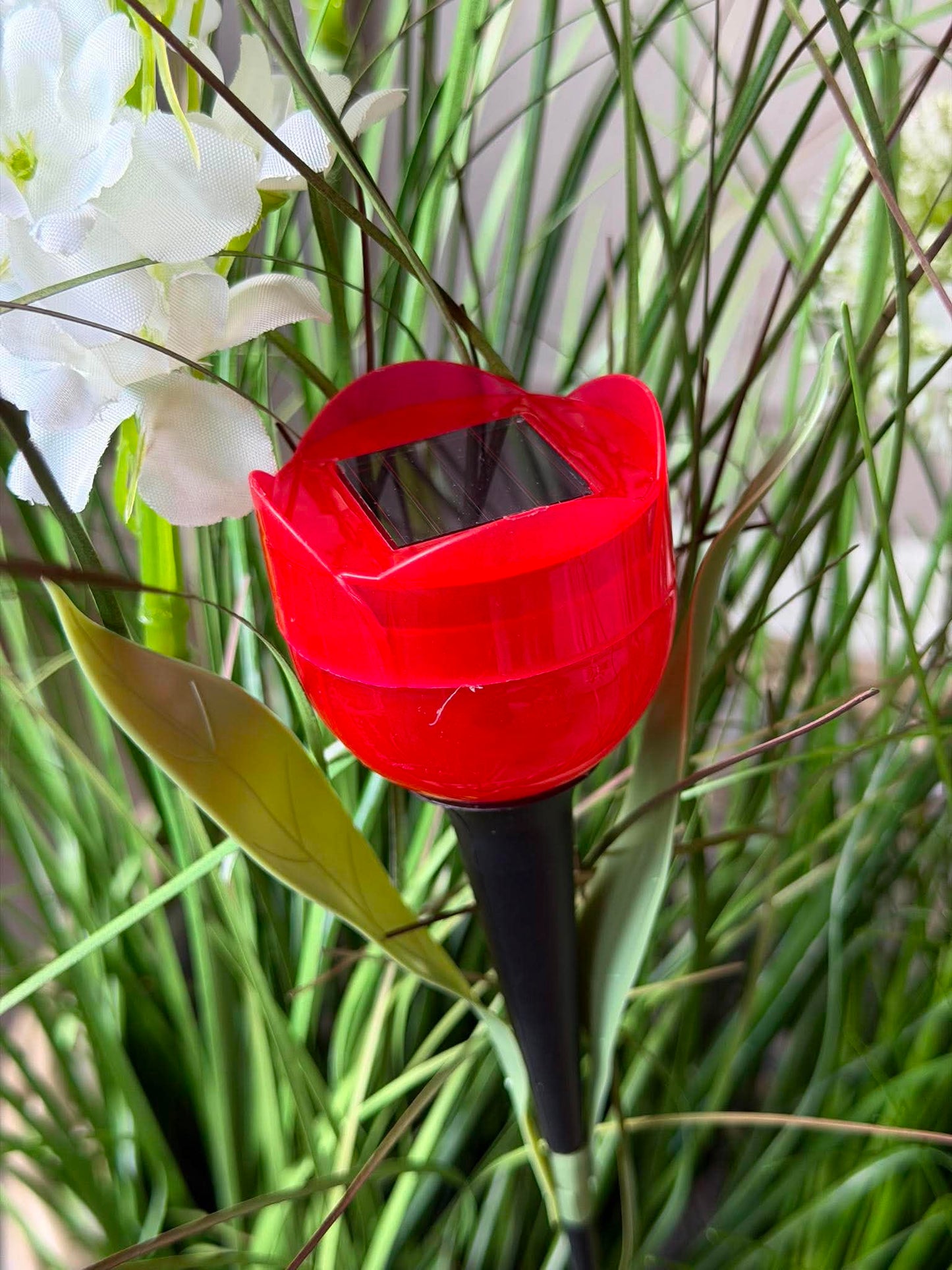 Tulipan Solar - Flere farver