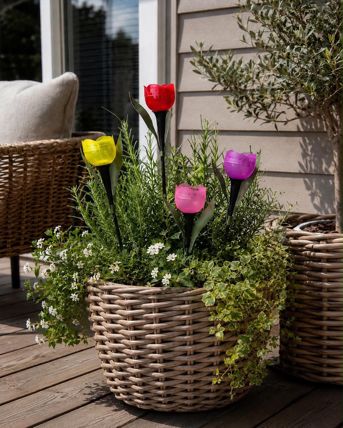 Tulipan Solar - Flere farver