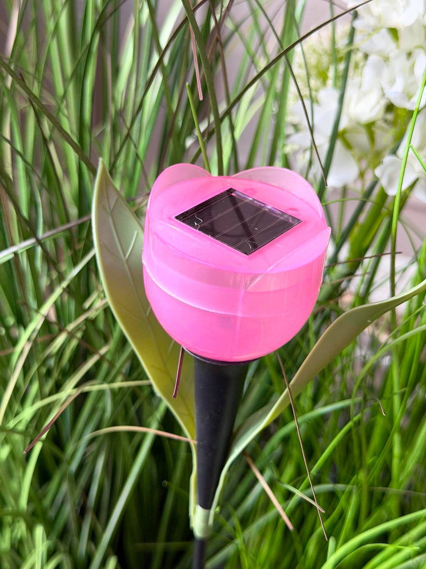 Tulipan Solar - Flere farver