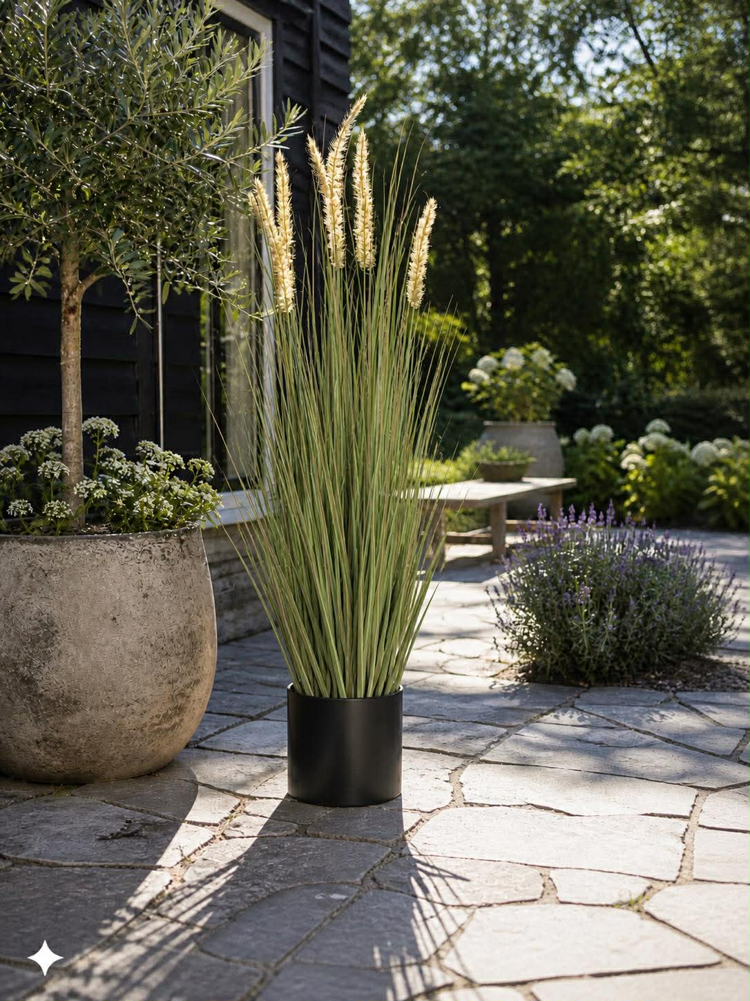 Pampas i potte - 91 cm