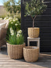 Plantekurve RATTAN natur  – Sæt med 3 størrelser