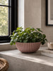 Bowl i beton look - Rosa 20 cm