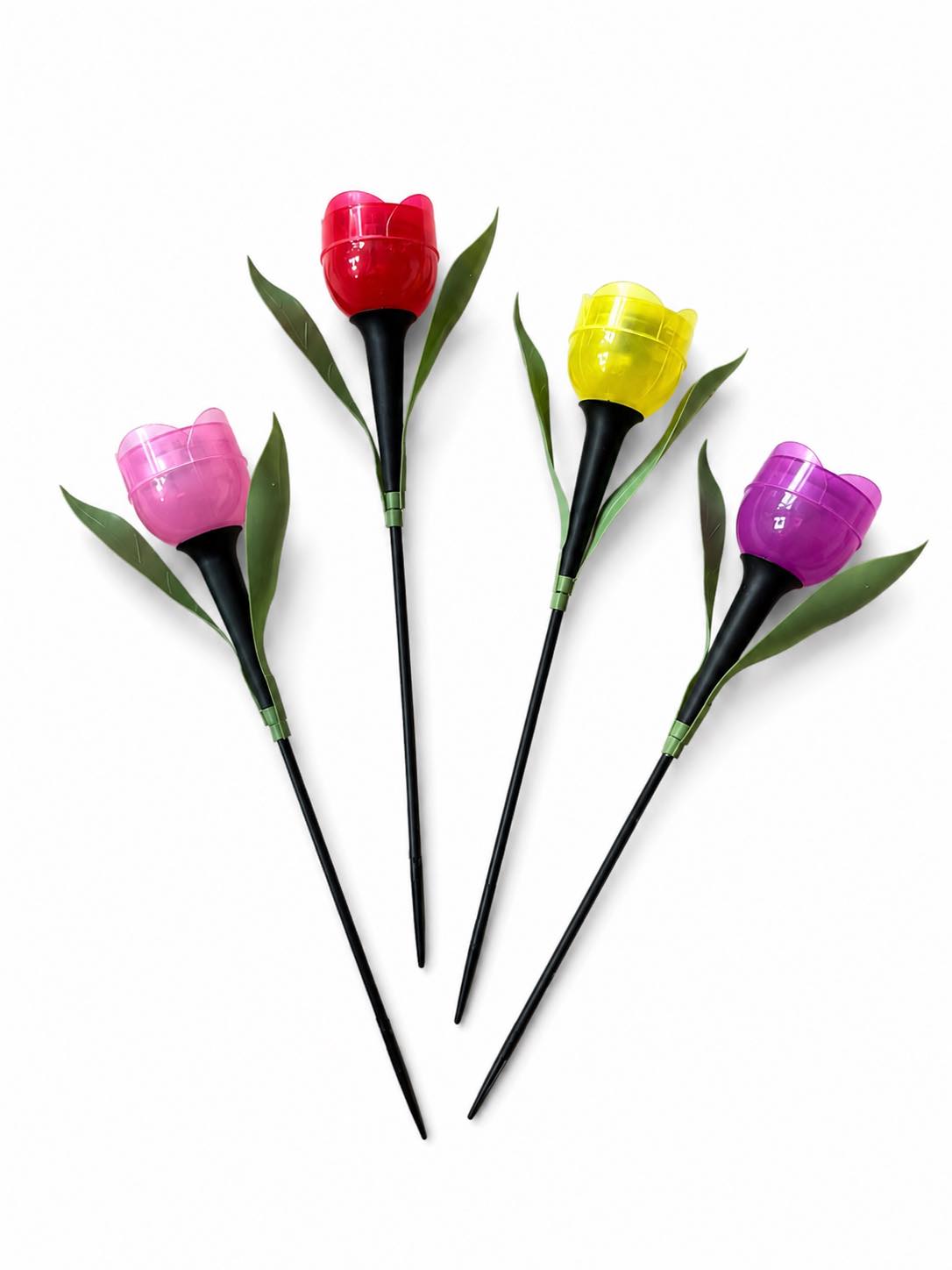Tulipan Solar - Flere farver