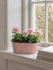 Aflang potte i beton look - Rosa