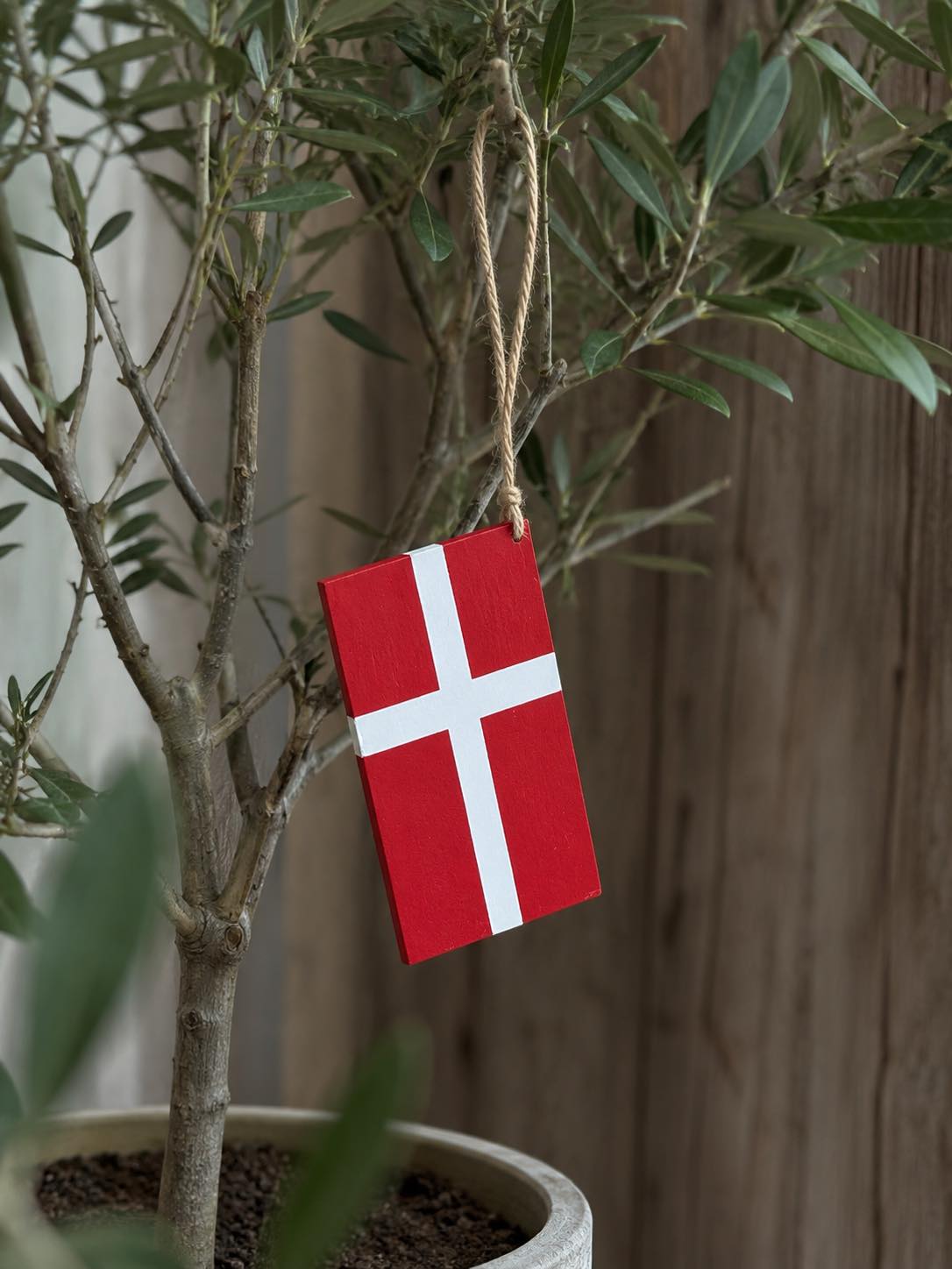 Dannebrog med ophæng - Flere størrelser