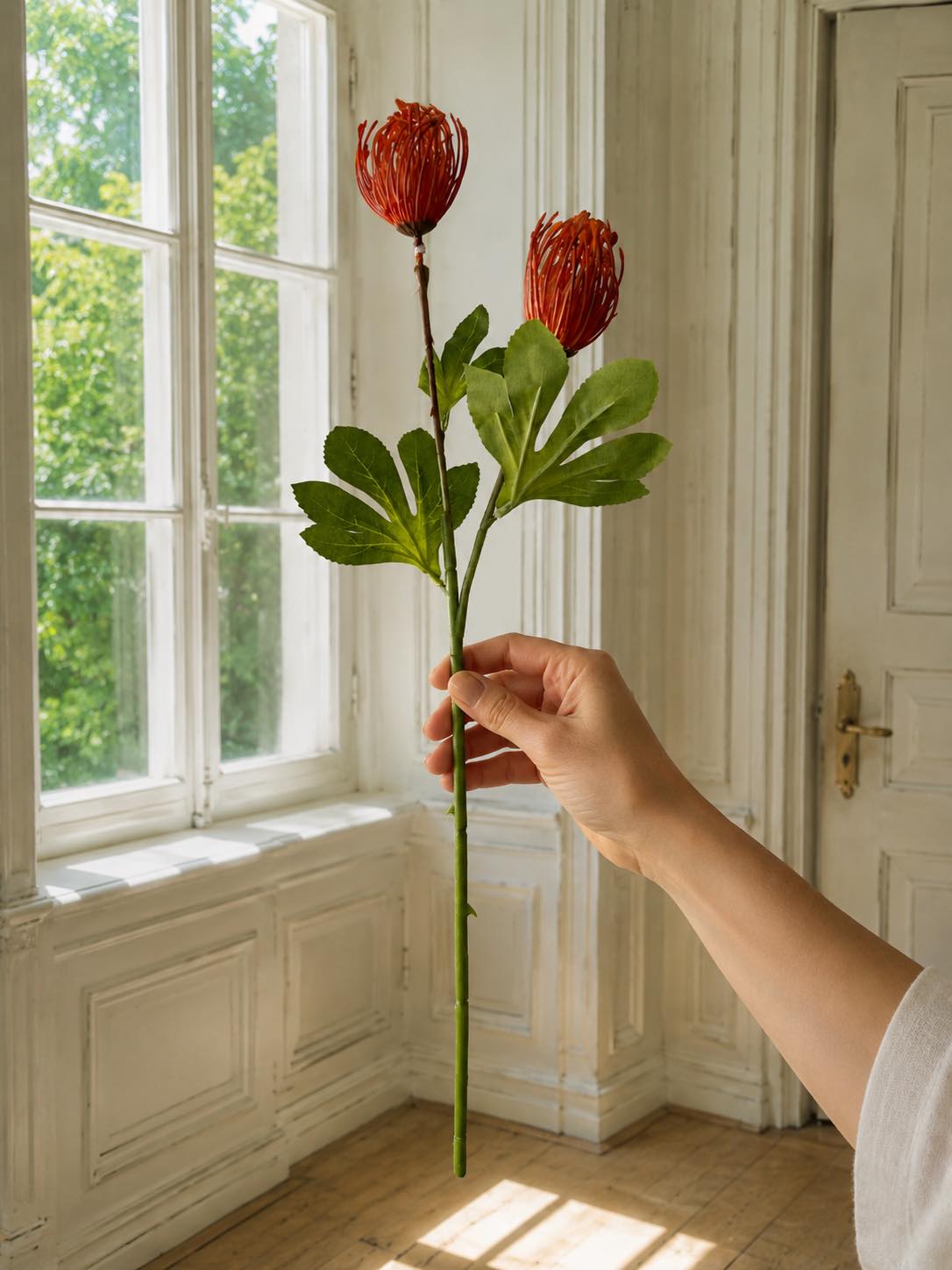 Blomstergren Krysantemum - Flere farver