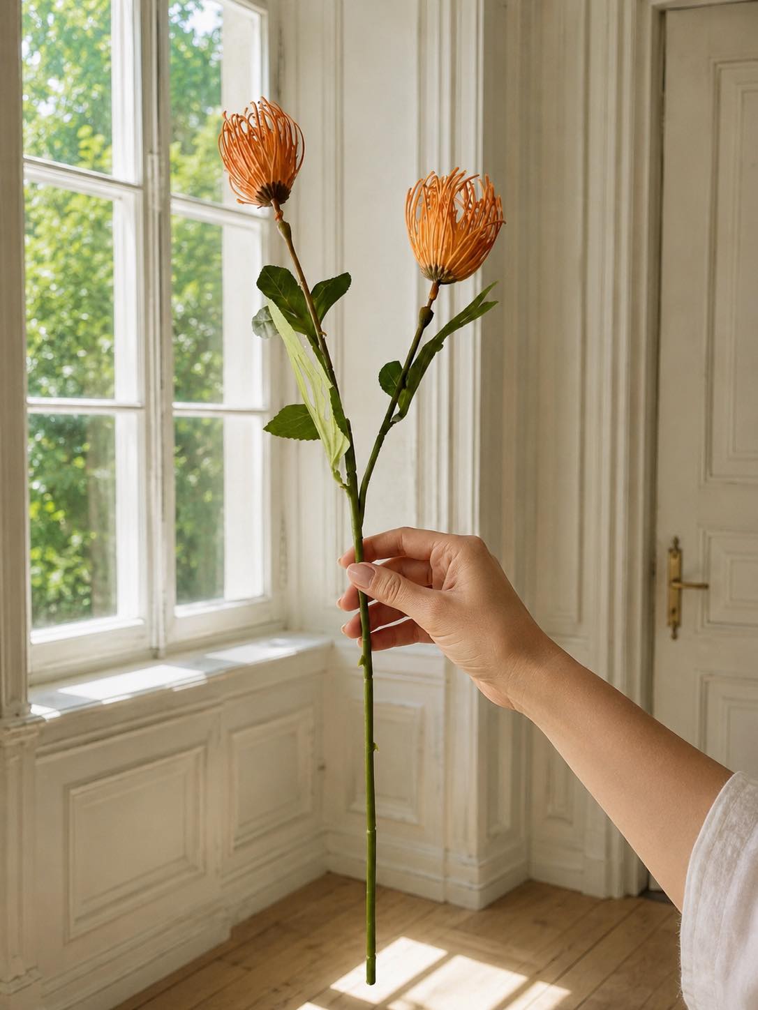 Blomstergren Krysantemum - Flere farver
