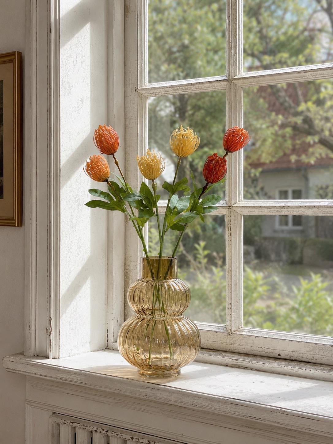Blomstergren Krysantemum - Flere farver