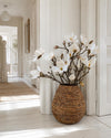 Magnoliagren - 52cm