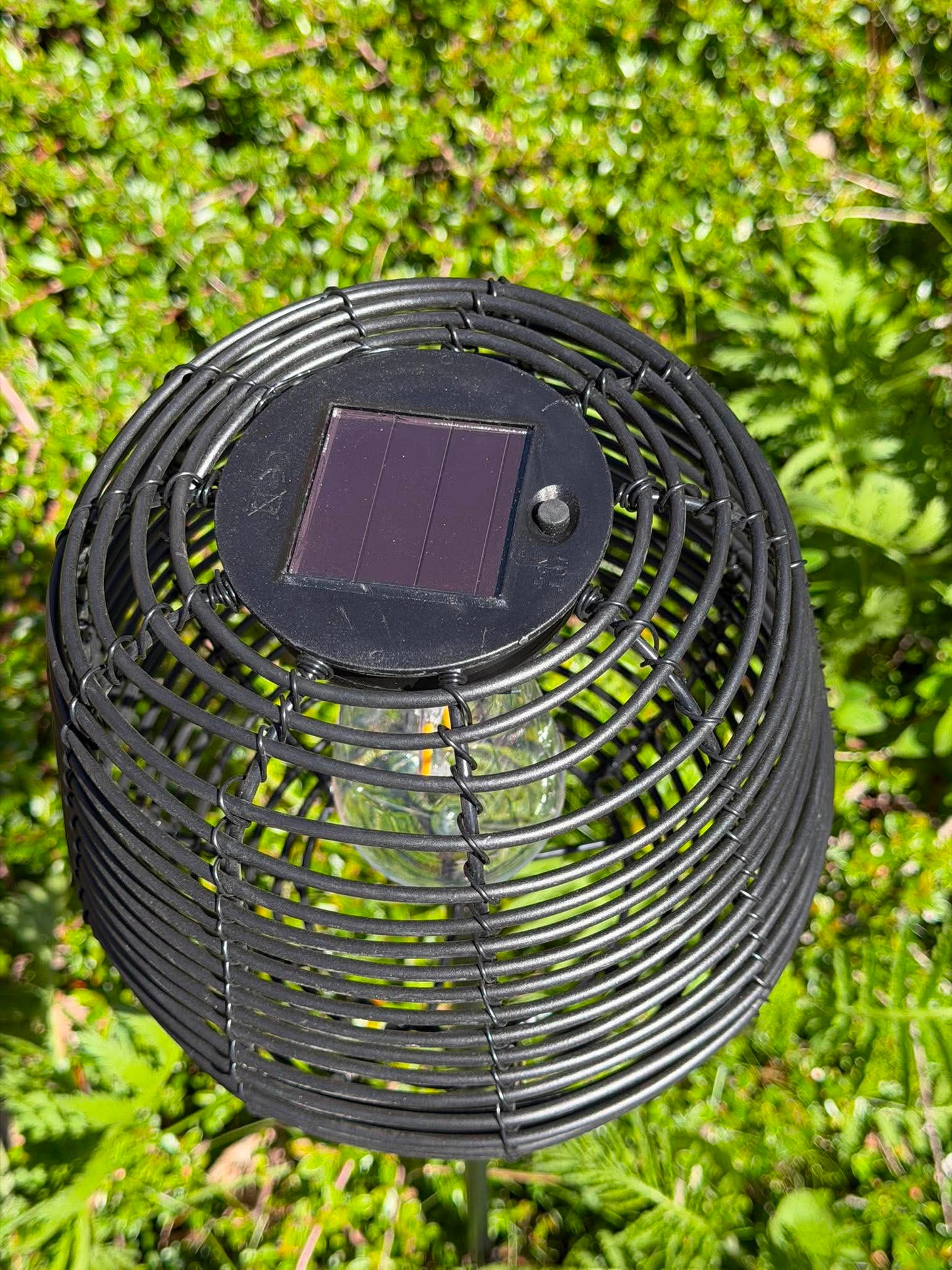 Lanterne på spyd 79 cm - Flere farver