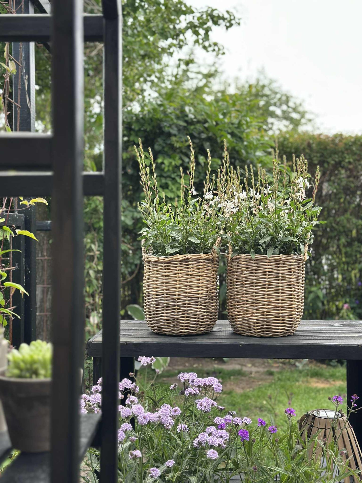 Plantekurve i natur - 3 stk