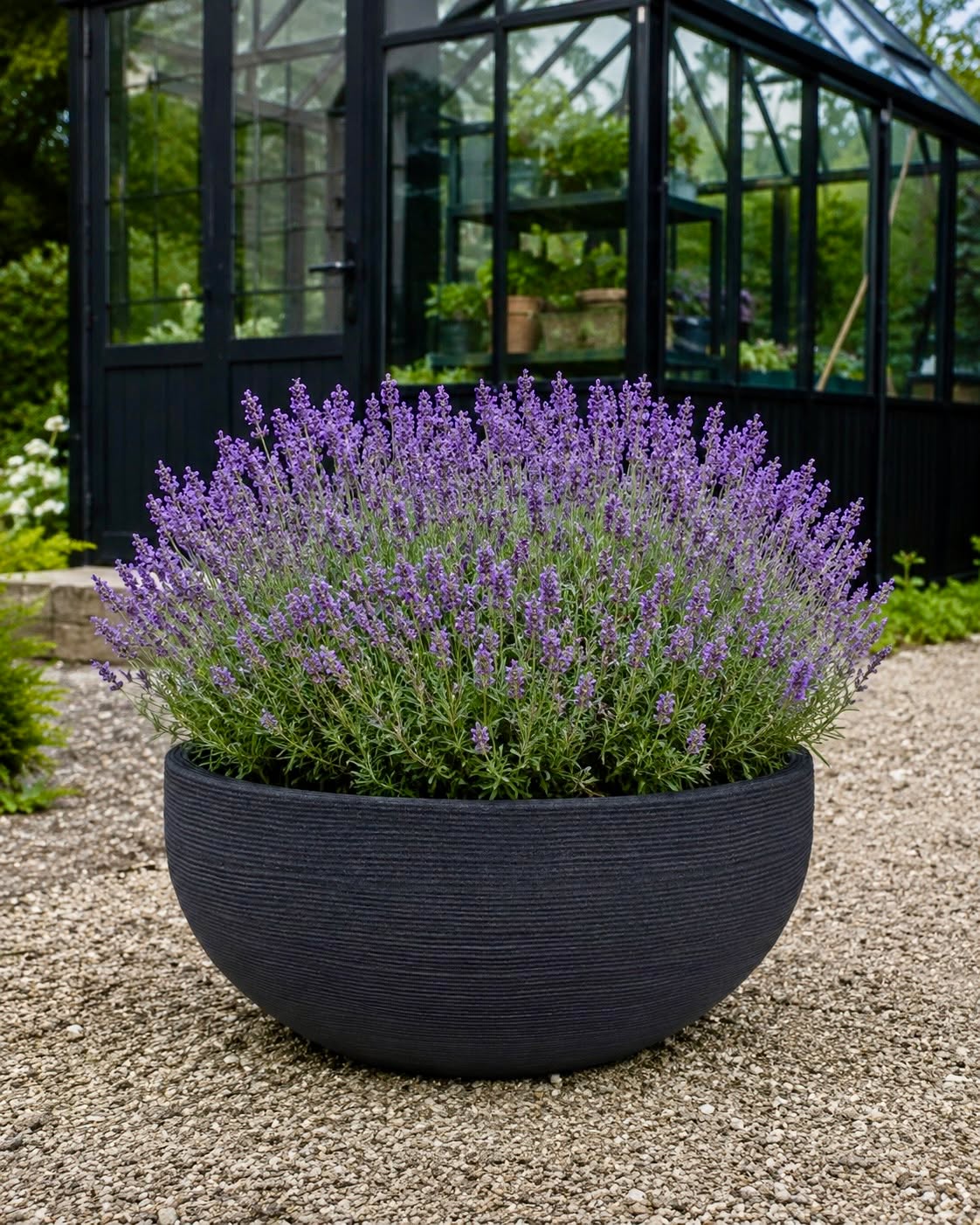 Spejlbassin black garden