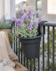 Blomsterpotte til hegn/balkon – mørkegrå plast