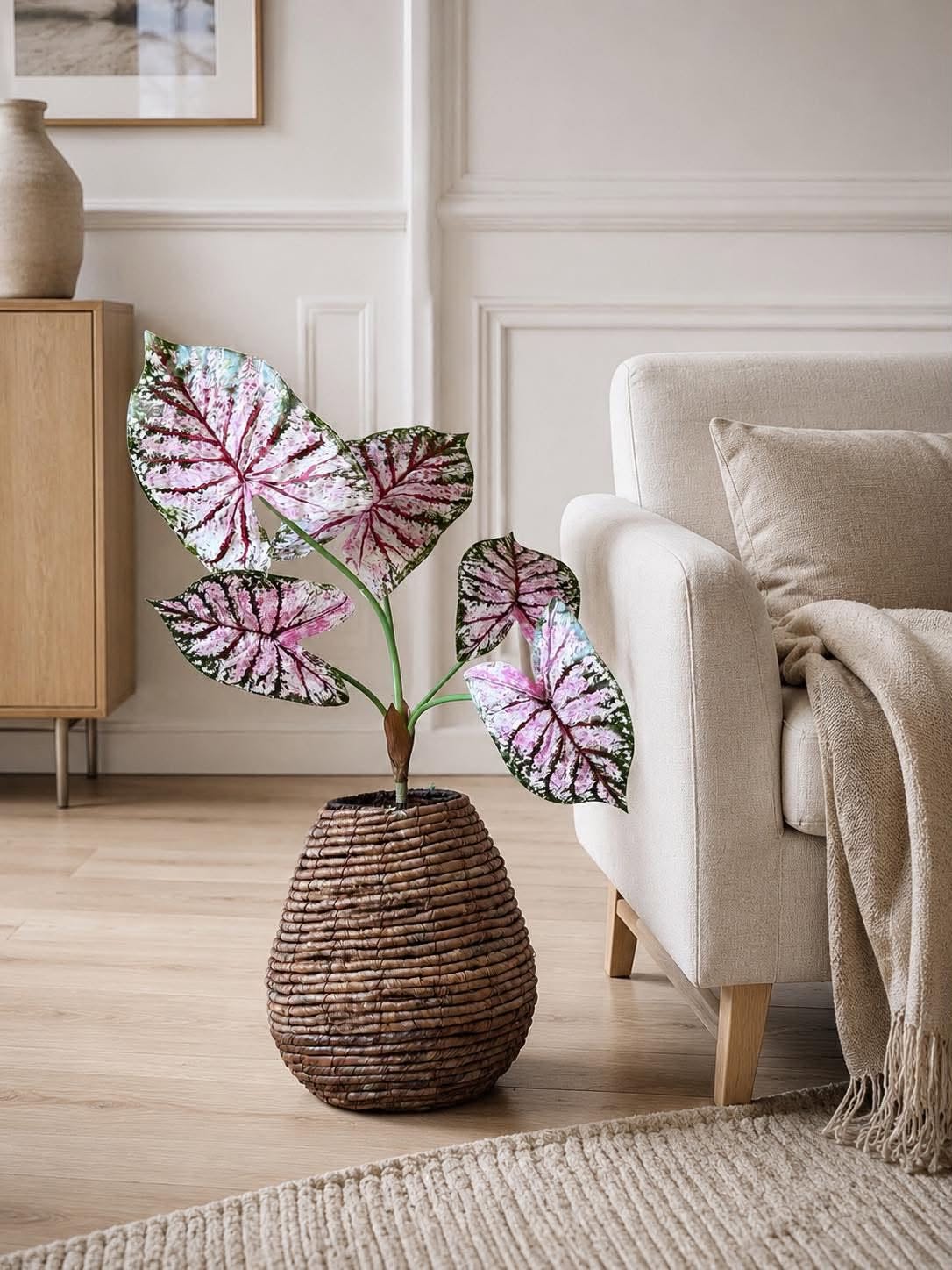 Plante Caladium H:67 cm Rosa/Grøn