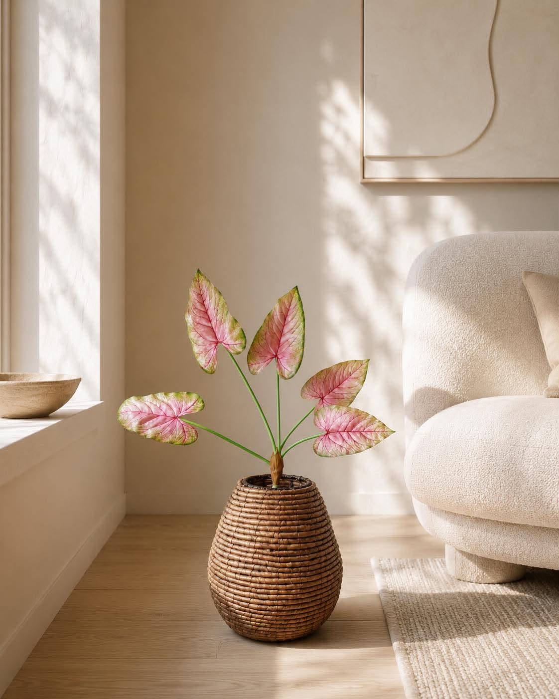 Plante Caladium 66 cm Rosa