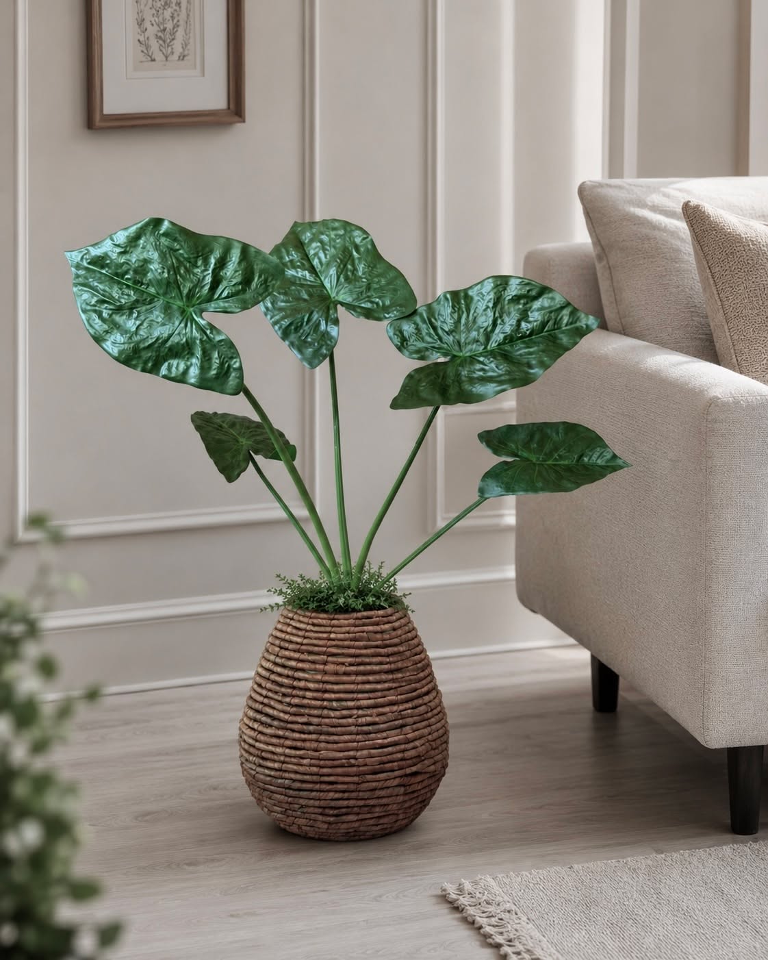 Plante Alocasia Big H:79 cm Grøn