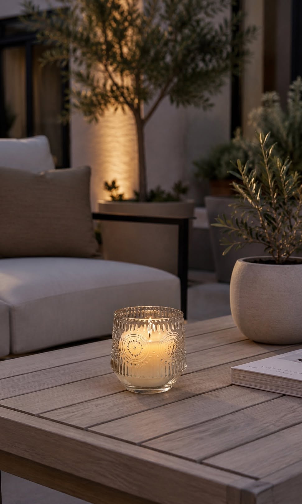 Citronella - Color mix