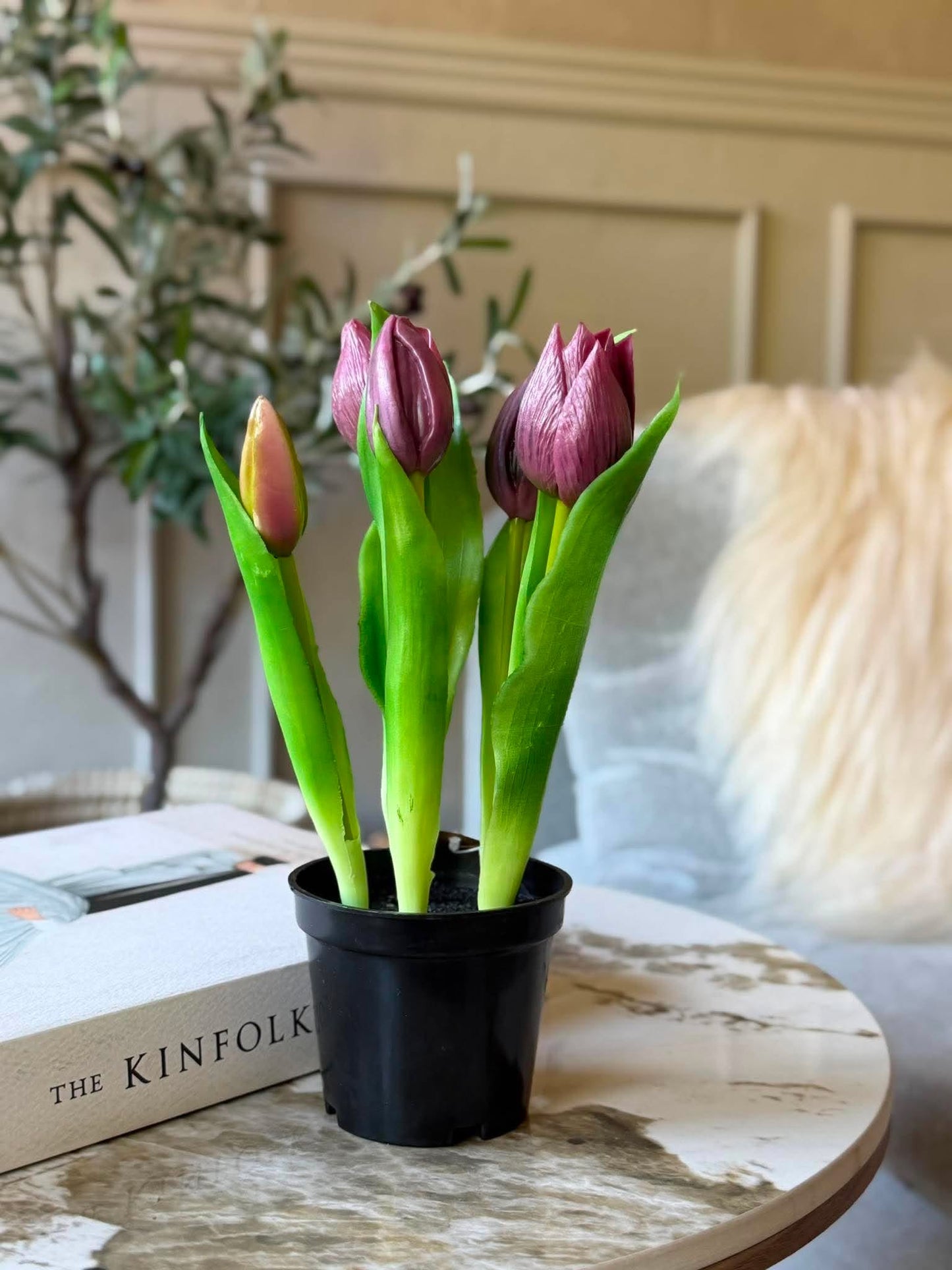 Tulipan i potte - Lilla med 5 blomster