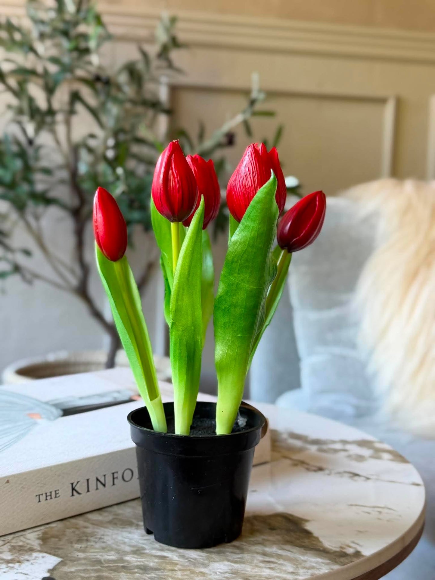 Tulipan i potte - Rød med 5 blomster