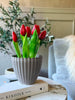 Tulipan i potte - Rød med 5 blomster